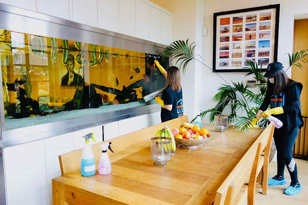 domestic cleaning London