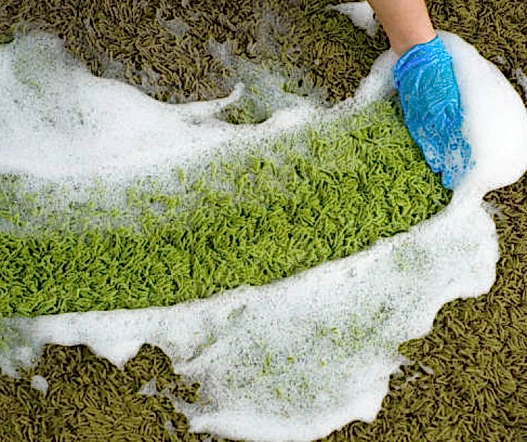 Foam for washing on the green carpet. Homework